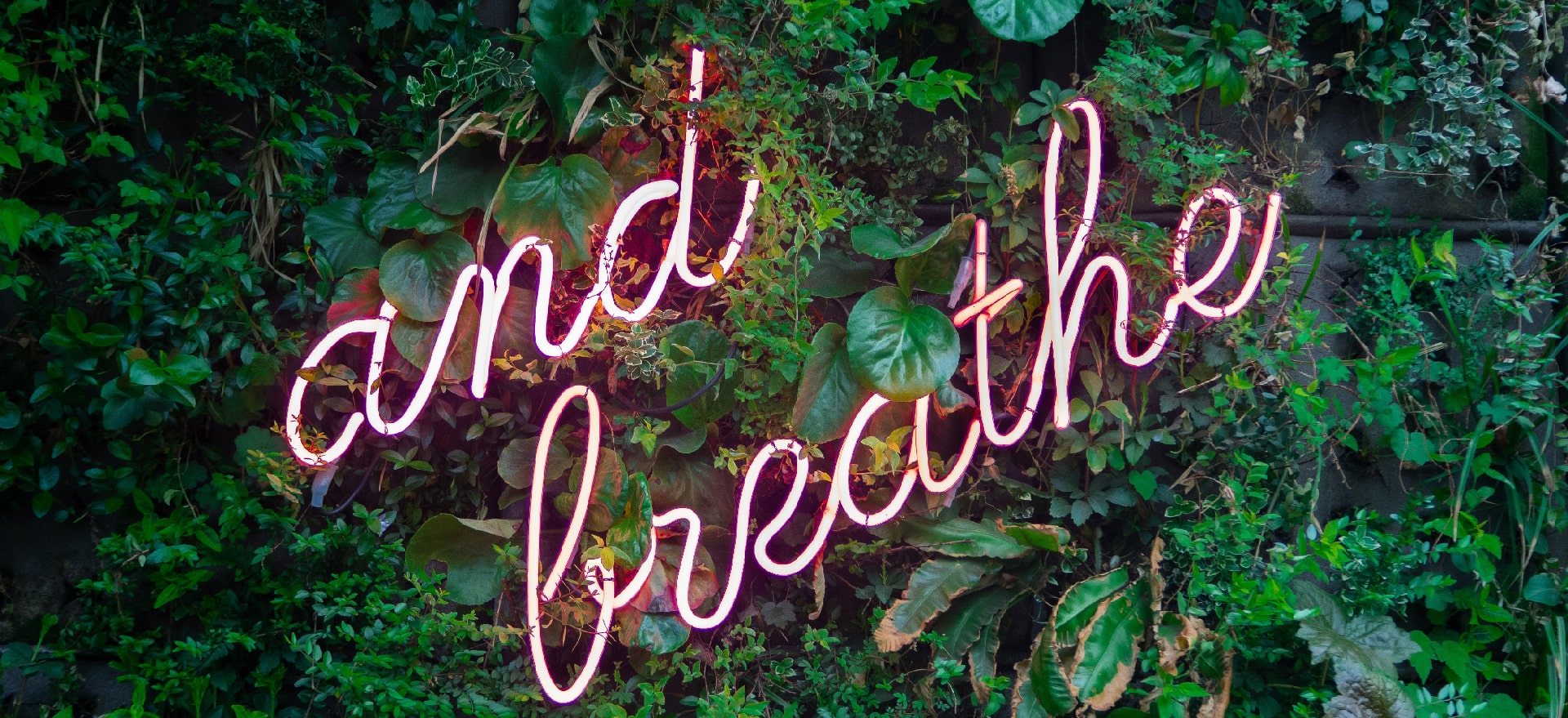 And Breathe Inscription