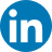 LinkedInIcon icon