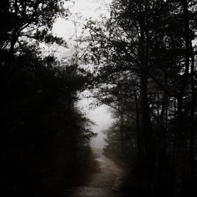 ハローウィンは現実になるとき 悪夢と禁煙 Kwit